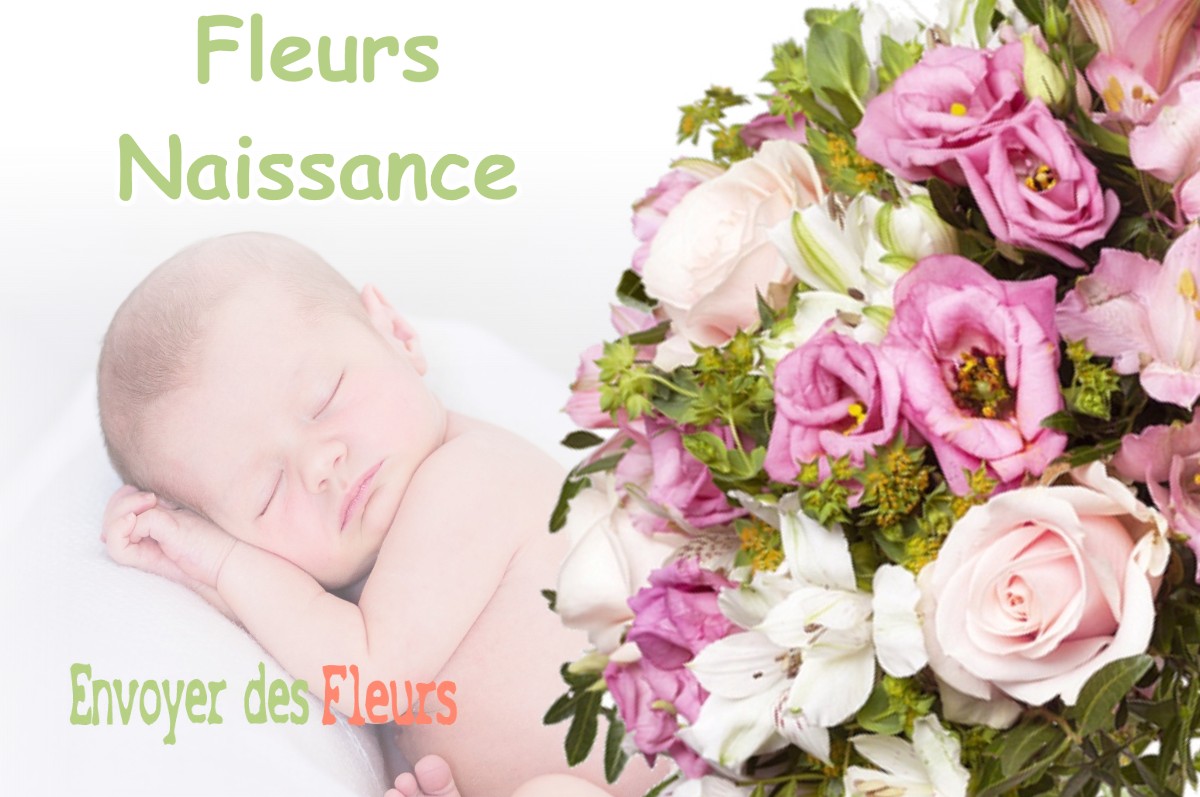 lIVRAISON FLEURS NAISSANCE à BERRE-LES-ALPES